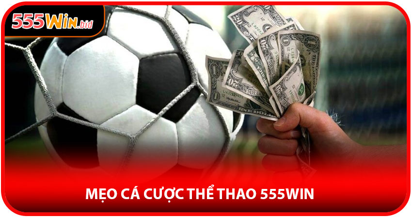 Mẹo cá cược thể thao 555win hiệu quả