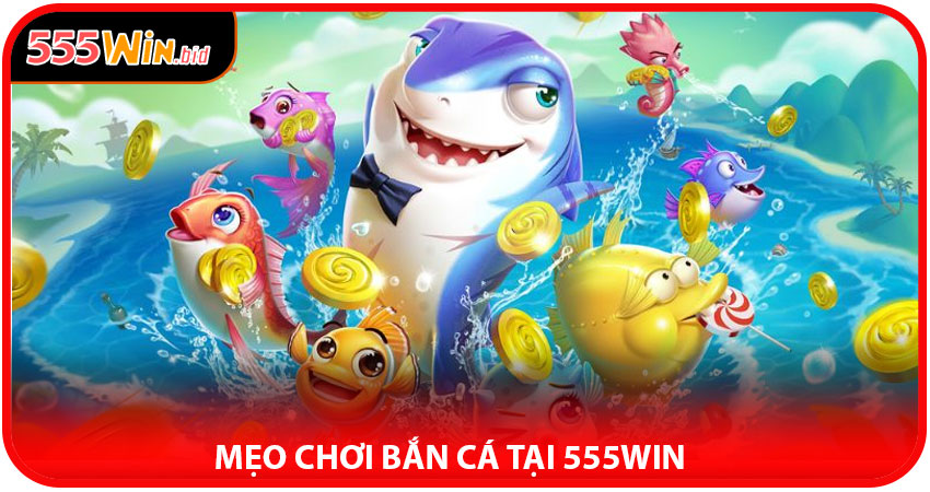 Mẹo chơi Bắn Cá tại 555win hiệu quả nhất