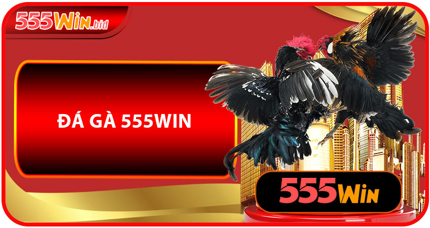 Đá Gà 555win